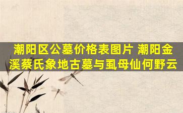 潮阳区公墓价格表图片 潮阳金溪蔡氏象地古墓与虱母仙何野云